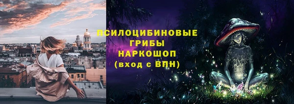 гидра Верхний Тагил