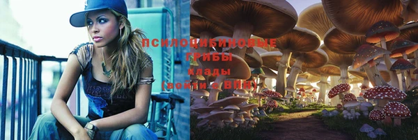 гидра Верхний Тагил
