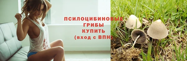гидра Верхний Тагил