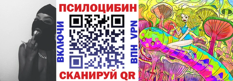 купить   Вяземский  Галлюциногенные грибы MAGIC MUSHROOMS 